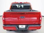 2023 F-150 Thumbnail 12