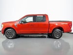 2023 F-150 Thumbnail 13