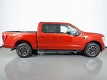 2023 F-150 Thumbnail 14