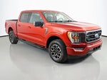 2023 F-150 Thumbnail 40