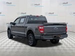 2023 F-150 Thumbnail 9