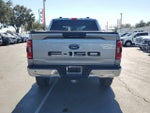 2023 F-150 Thumbnail 8