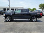 2023 F-150 Thumbnail 6
