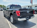 2023 F-150 Thumbnail 7