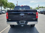 2023 F-150 Thumbnail 8