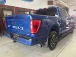 2023 F-150 Thumbnail 4