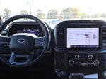 2023 F-150 Thumbnail 13