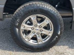 2023 F-150 Thumbnail 5