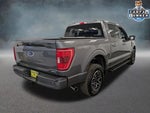 2023 F-150 Thumbnail 4