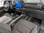 2023 F-150 Thumbnail 30