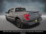 2023 F-150 Thumbnail 7