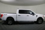 2023 F-150 Thumbnail 3