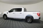 2023 F-150 Thumbnail 5