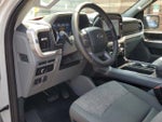 2023 F-150 Thumbnail 18