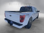 2023 F-150 Thumbnail 12