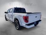 2023 F-150 Thumbnail 14
