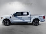 2023 F-150 Thumbnail 15