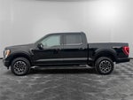 2023 F-150 Thumbnail 2