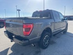 2023 F-150 Thumbnail 5