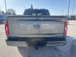 2023 F-150 Thumbnail 6