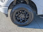 2023 F-150 Thumbnail 10