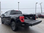 2023 F-150 Thumbnail 17
