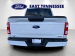 2023 F-150 Thumbnail 4