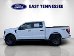 2023 F-150 Thumbnail 6