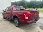 2016 F-150 Thumbnail 8