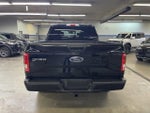 2016 F-150 Thumbnail 6