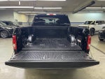 2016 F-150 Thumbnail 7