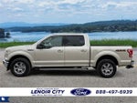 2017 F-150 Thumbnail 6