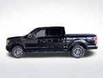 2018 F-150 Thumbnail 12