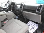 2018 F-150 Thumbnail 7