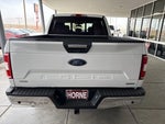 2019 F-150 Thumbnail 5