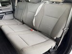 2019 F-150 Thumbnail 10