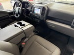 2019 F-150 Thumbnail 12