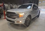 2019 F-150 Thumbnail 4