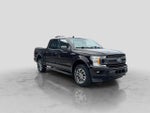 2019 F-150 Thumbnail 8
