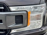 2019 F-150 Thumbnail 10