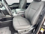 2019 F-150 Thumbnail 15