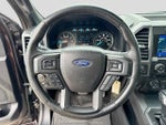 2019 F-150 Thumbnail 22