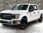 2019 F-150 Thumbnail 3