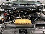 2019 F-150 Thumbnail 30