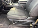 2020 F-150 Thumbnail 19