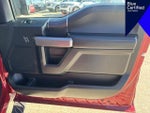 2020 F-150 Thumbnail 14