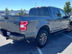 2020 F-150 Thumbnail 4