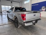 2021 F-150 Thumbnail 7