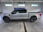 2021 F-150 Thumbnail 8