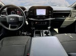 2021 F-150 Thumbnail 10